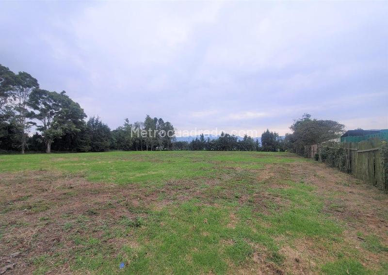 Lote en Arriendo, chia, Chía - Vista 3
