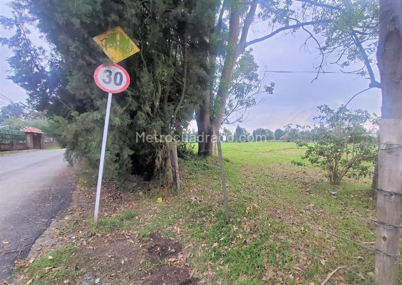Lote en Arriendo, chia, Chía - Vista 4