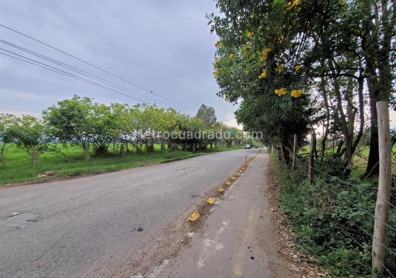 Lote en Arriendo, chia, Chía - Vista 5