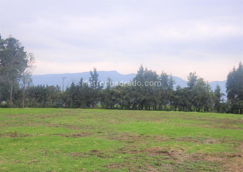 Lote en Arriendo, chia, Chía - Más