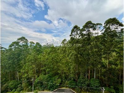 Apartamento de 3 alcobas en venta en El Poblado, Medellín, 217 m² · foto 4 de 20