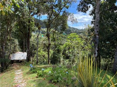 Casa de 4 alcobas en venta en Loma Del Escobero, Envigado · foto 8 de 20