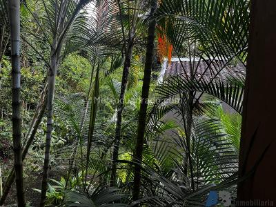 Casa de 2 alcobas en venta en El Poblado, Medellín, 90 m² · foto 15 de 15