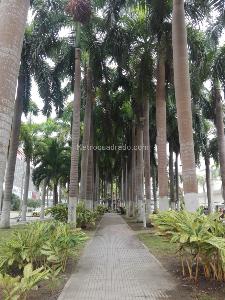 Apartamento en arriendo en Villa Country, Barranquilla · foto 15 de 17