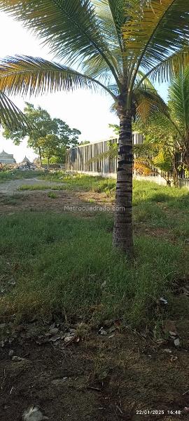 Lote en Arriendo, Miramar, Barranquilla - Vista 5