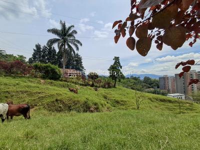 Casa de 4 alcobas en venta en La Mina, Envigado · foto 4 de 20