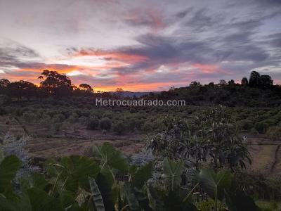 Casa de 4 alcobas en venta en Llanogrande, Medellín · foto 8 de 20