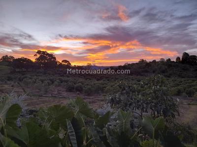 Casa de 4 alcobas en venta en Llanogrande, Medellín · foto 10 de 20