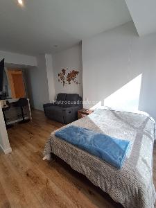 Apartamento de 1 alcoba en arriendo en Ciudad Salitre Nor Oriental, Bogotá, 33 m² · foto 2 de 8