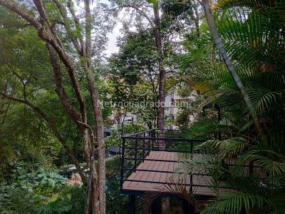 Casa de 2 alcobas en arriendo en El Tesoro, Medellín, 260 m² · foto 13 de 13