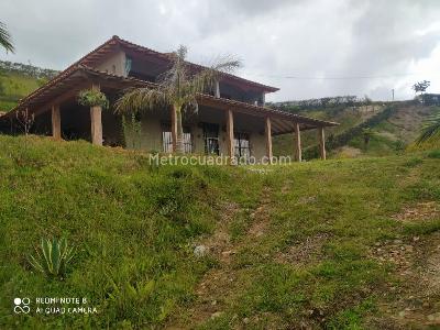 Casa de 4 alcobas en venta en Los Pinos, Rionegro · foto 2 de 20
