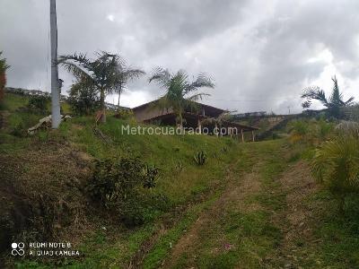 Casa de 4 alcobas en venta en Los Pinos, Rionegro · foto 4 de 20