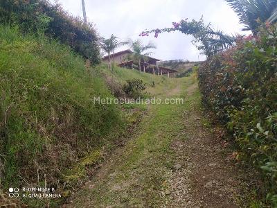 Casa de 4 alcobas en venta en Los Pinos, Rionegro · foto 10 de 20