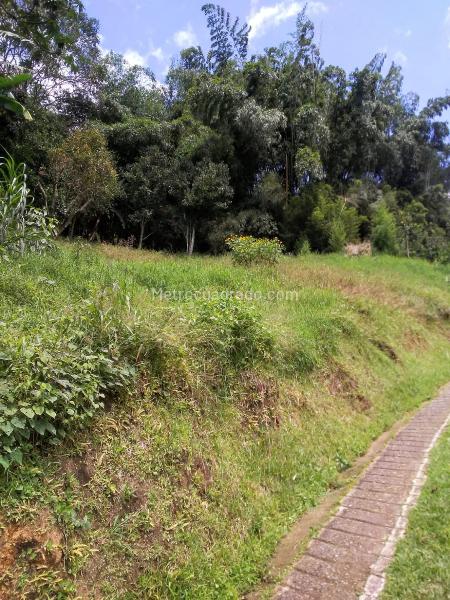 Lote en Venta, Vereda La Doctora, Sabaneta - Vista 4