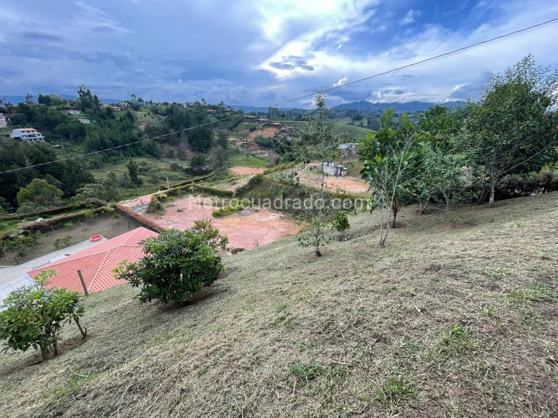 Spectacular Country House for Rent in Santa Bárbara - 2