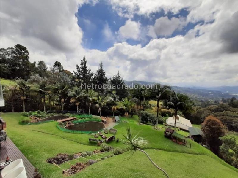 4BR Finca in El Retiro (10000 m²) - 3