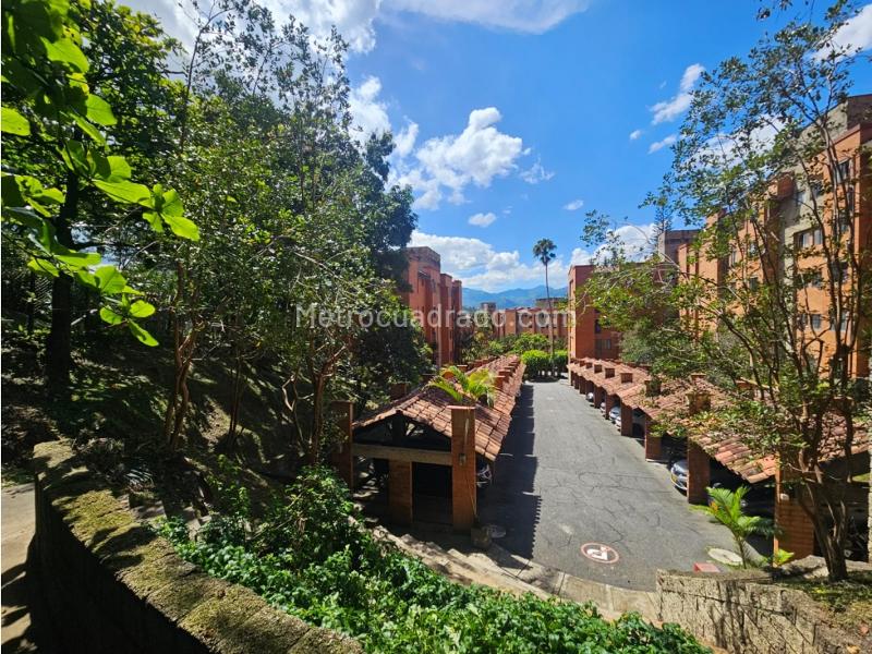 Charming 2BR Apartment in San Diego