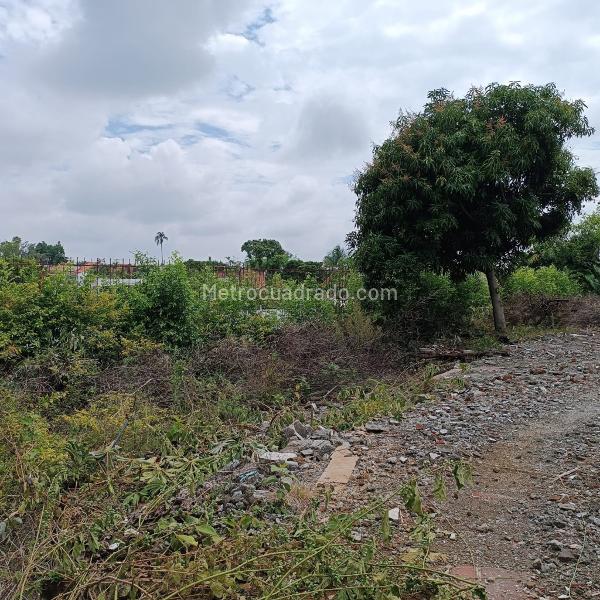 Lote en Venta, Ciudad Jardin, Cali - Vista 4