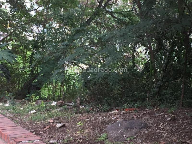 Lote en Venta, Cristales, Cali - Vista 2