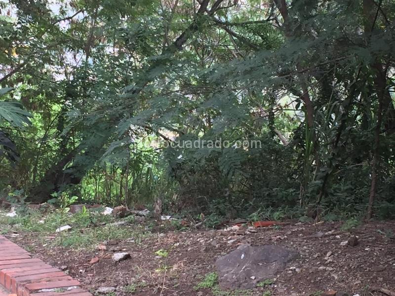 Lote en Venta, Cristales, Cali - Vista 3