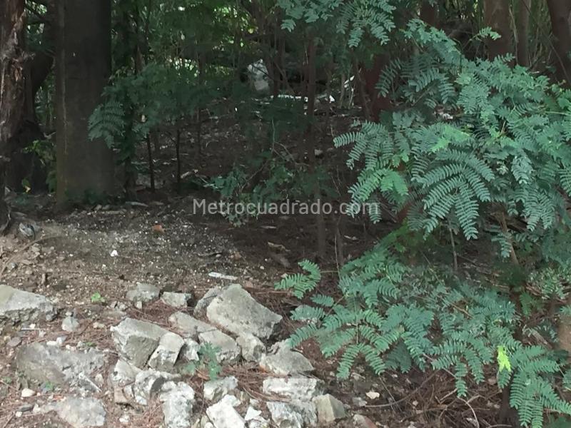 Lote en Venta, Cristales, Cali - Vista 4