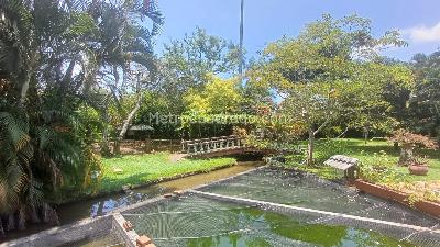 Casa de 5 alcobas en venta en Pance, Cali, 780 m² · foto 15 de 16