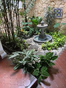 Casa de 5 alcobas en venta en La Arboleda, Cali, 324 m² · foto 2 de 19