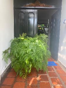 Casa de 5 alcobas en venta en La Arboleda, Cali, 324 m² · foto 15 de 19
