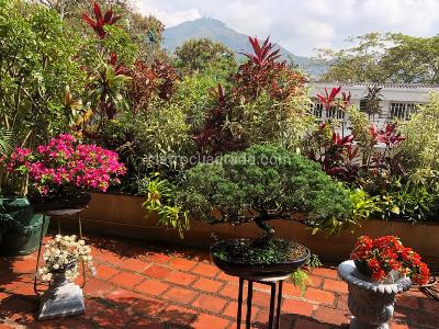 Casa de 5 alcobas en venta en La Arboleda, Cali, 324 m² · foto 18 de 19