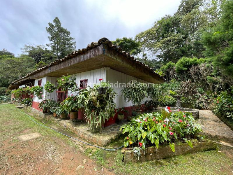 Finca en Arriendo, Dapa Parcelacion Hacienda Los Morales, Yumbo - Widok 4