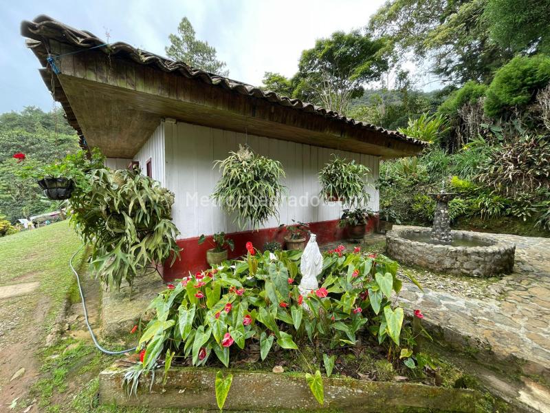 Finca en Arriendo, Dapa Parcelacion Hacienda Los Morales, Yumbo - Widok 5
