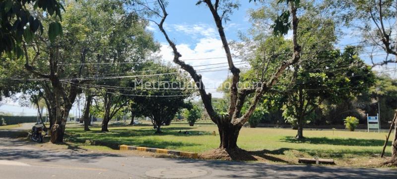 Lote en Venta, Alfaguara, Jamundi - Más