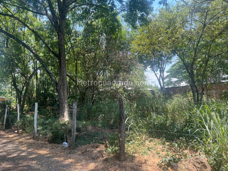 Lote en Venta, Parcelaciones Pance, Cali - Vista 4
