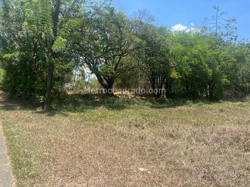 Lote en Venta, Parcelaciones Pance, Cali - Vista 5