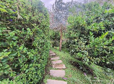 Casa de 4 alcobas en venta en Llanogrande, Rionegro · foto 6 de 16
