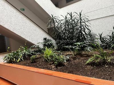 Apartamento en venta en Chico Norte, Bogotá · foto 15 de 20