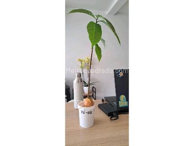 Casa de 3 alcobas en venta en Chia, Chía, 270 m² · foto 7 de 17