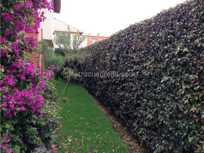 Casa de 3 alcobas en venta en Chia, Chía, 200 m² · foto 8 de 15