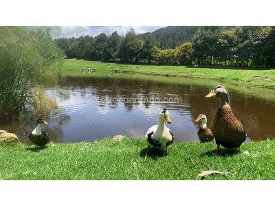 Casa de 3 alcobas en venta en Cajica, Cajicá, 208 m² · foto 8 de 13