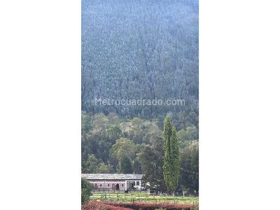 Casa de 3 alcobas en venta en Cajica, Cajicá, 180 m² · foto 4 de 20