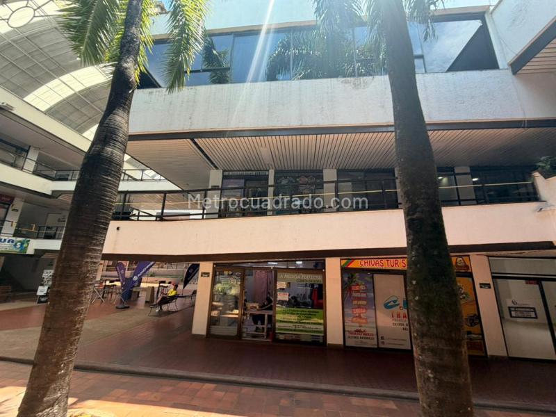 Local Comercial en Arriendo, Arkacentro, Ibagué - Vista 2