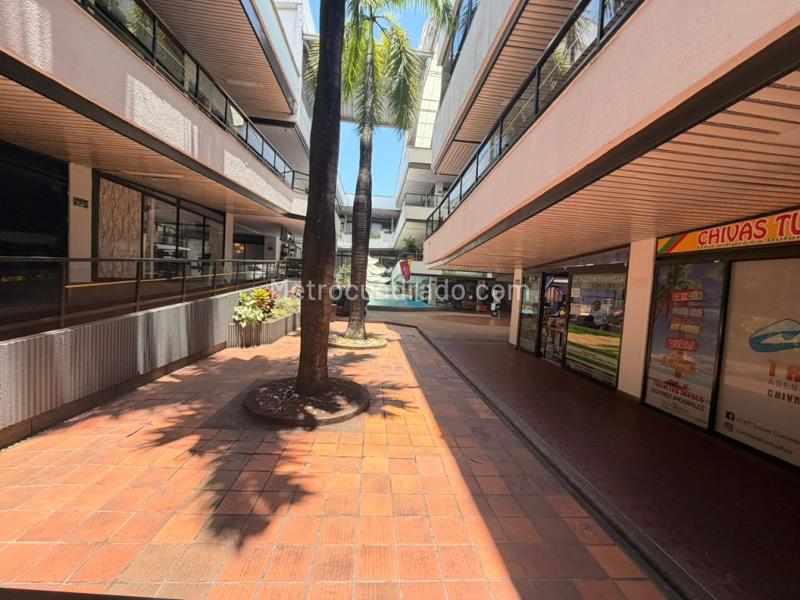 Local Comercial en Arriendo, Arkacentro, Ibagué - Vista 3