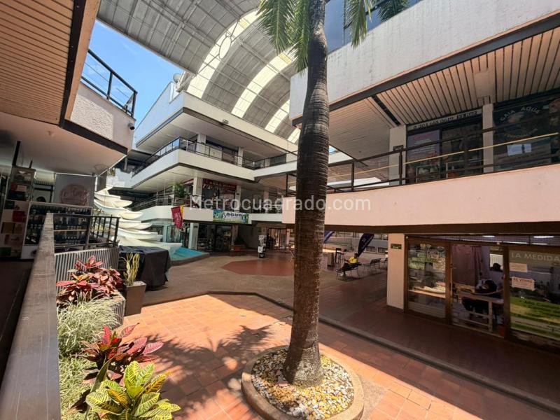 Local Comercial en Arriendo, Arkacentro, Ibagué - Vista 4