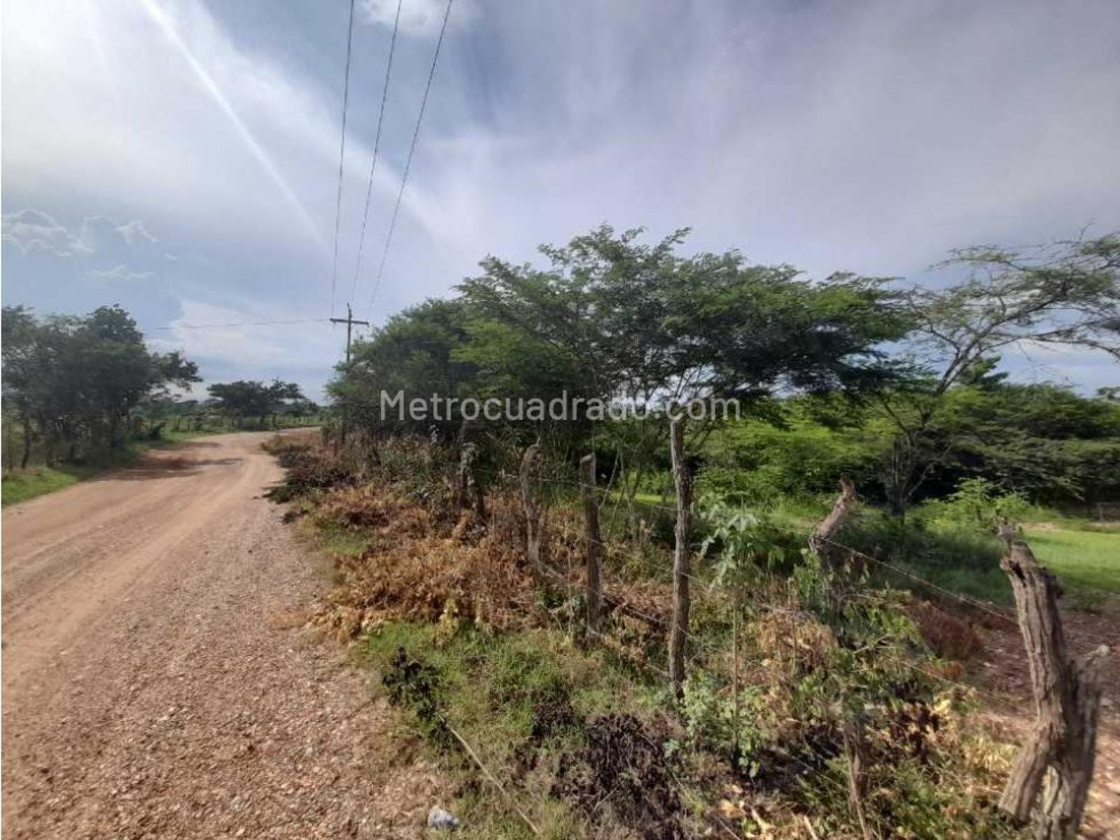 Venta de Finca en Manati Manati 14392M3445918