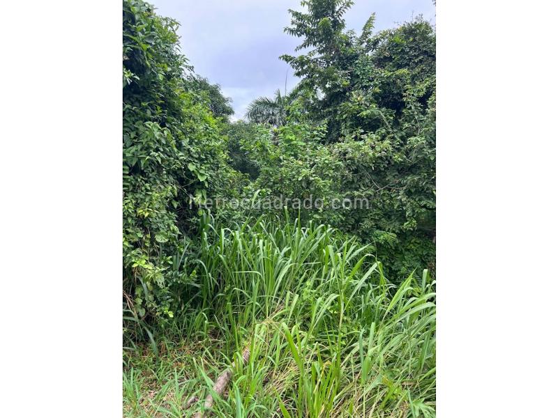 Lote en Venta, Cartagena, Cartagena de Indias - Vista 4