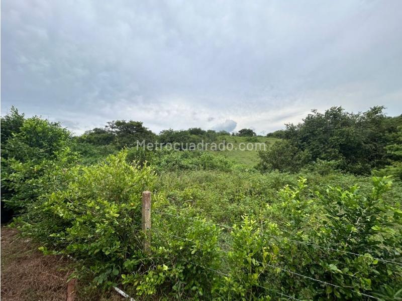 Lote en Venta, Cartagena, Cartagena de Indias - Más