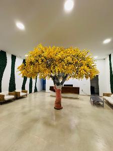 Apartamento en venta en Rodadero, Santa Marta · foto 12 de 15