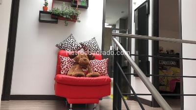 Casa de 3 alcobas en venta en Cajicá, 160 m² · foto 6 de 10