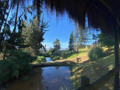 Casa de 3 alcobas en venta en Cajicá, 182 m² · foto 11 de 12