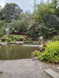 Apartamento de 2 alcobas en venta en Laureles Campestre, Medellín, 59 m² · foto 18 de 19